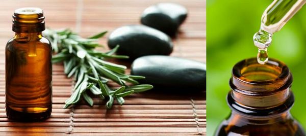 Harmony of Nature - Image 3