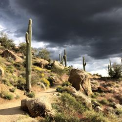 McDowell Sonoran Preserve