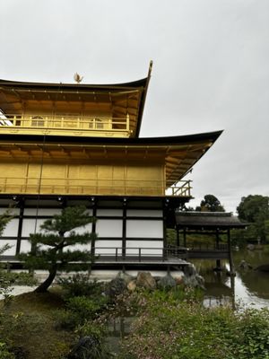Kinkaku-ji by null