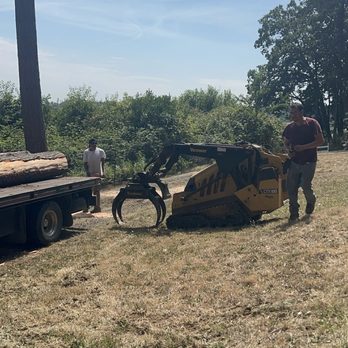 Timberview Tree Service - Tree Services Near Me