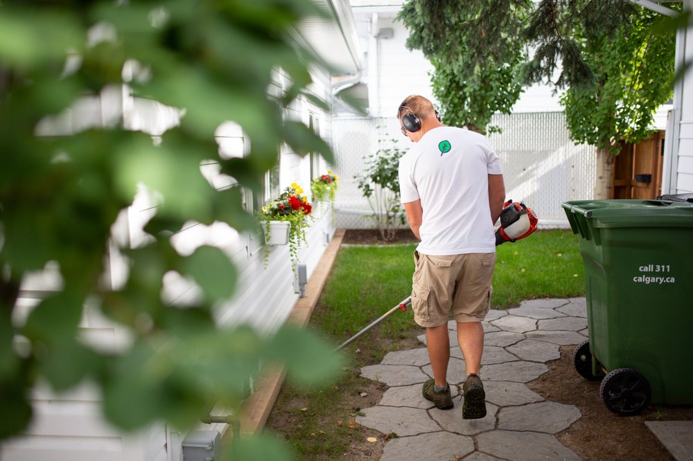 SIMPLE YARD Updated September 2024 14 Photos Cochrane, Alberta