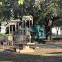 Photo of Brooktree Park