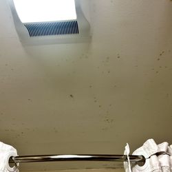 Comfort Suites Boone - University Area - Bathroom ceiling