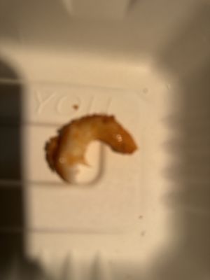 Georgia's Restaurant by null