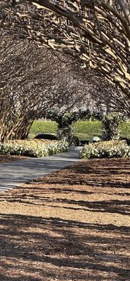 The Dallas Arboretum and Botanical Garden by null