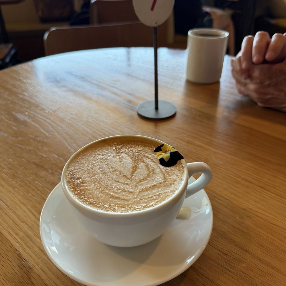 Crema Coffee Roasters - La fleur with oat milk - Coffee & Tea Near Me - Brentwood, Tennessee Crema Coffee Roasters - La fleur with oat milk - Coffee & Tea Near Me - Brentwood, Tennessee