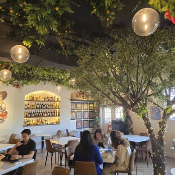 Sorelle - Cafes Near Me - Long Grove, Illinois Sorelle - Cafes Near Me - Long Grove, Illinois