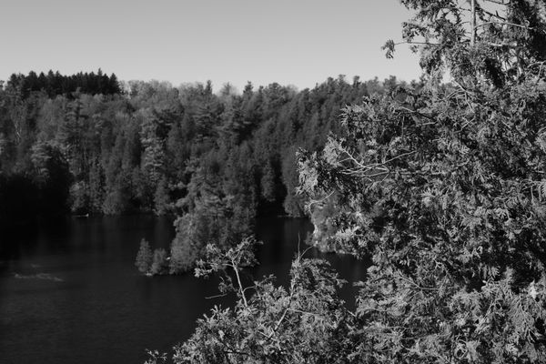 Rockwood Conservation Area by null