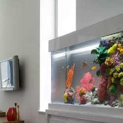 City Aquarium - Custom saltwater aquarium, artificial coral insert