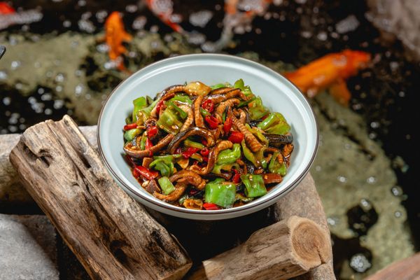 Mountain House by null