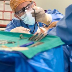 Davis Facial Plastics - Dr. Davis in surgery