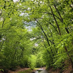Farmington Canal Rail To Trail Assoc