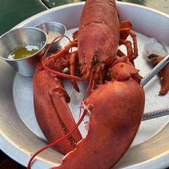 Abel's Lobster - Wood fired lobster - Seafood Near Me - Mount Desert, Maine