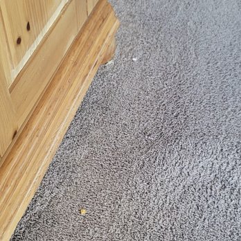 Mark's Dry Carpet Cleaning - How can anyone vacuum let alone steam clean and leave debri? - Carpet Cleaning Near Me