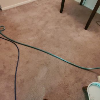 Pro Care Carpet Cleaning - Before- pic 1 of 2 - Carpet Cleaning Near Me - Fredericksburg, Virginia