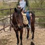 Photo of Lajitas Stables