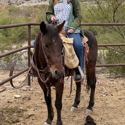 Lajitas Stables - Me on Stud Muffin after my ride
