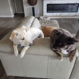 Best friends Best friends
