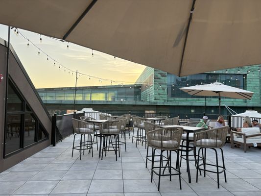 Green Dirt on Oak by null