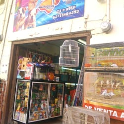 Maskotitas Animal Shop - Entrada