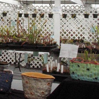 California Carnivores - Nurseries & Gardening Near Me - Sebastopol, California