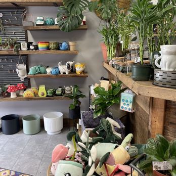 Aloe & Jade Plant Boutique - Plush toys, plants and pots - Florists Near Me - Spooner, Wisconsin Aloe & Jade Plant Boutique - Plush toys, plants and pots - Florists Near Me - Spooner, Wisconsin