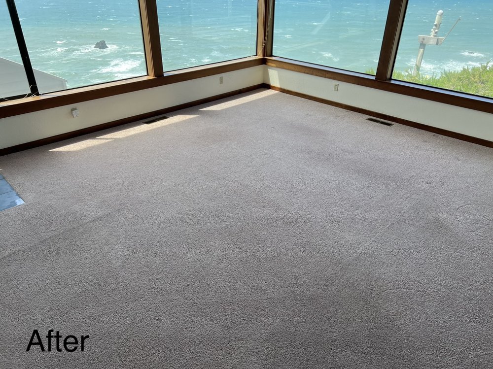 RYANS CARPET CARE Updated July 2024 32 Photos Gualala, California Carpet Cleaning