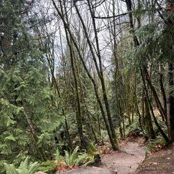 Evans Creek Preserve
