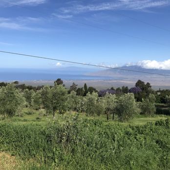 O'o Farms - Food Tours Near Me - Kula, Hawaii O'o Farms - Food Tours Near Me - Kula, Hawaii