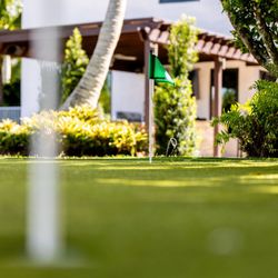 The Landscaping People - Artificial Turf Golf Green