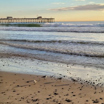 Sea Horse Resort - SC PIER - Hotels Near Me - San Clemente, California Sea Horse Resort - SC PIER - Hotels Near Me - San Clemente, California