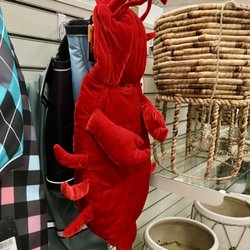 Winners - Dog lobster costume