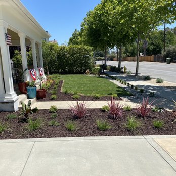 Devil Mountain Wholesale Nursery - Morgan Hill - Nurseries & Gardening Near Me - Morgan Hill, California