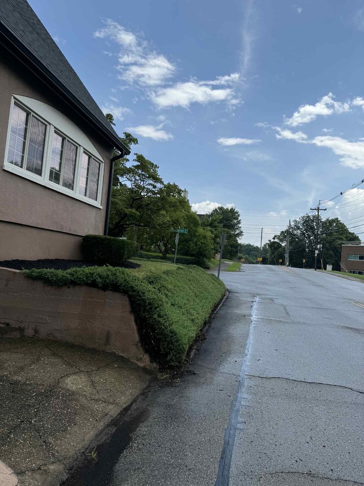 Sosa Tree Services - tree service in Louisville, KY