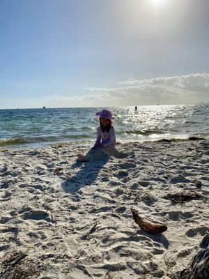 Hobie Island Beach by null