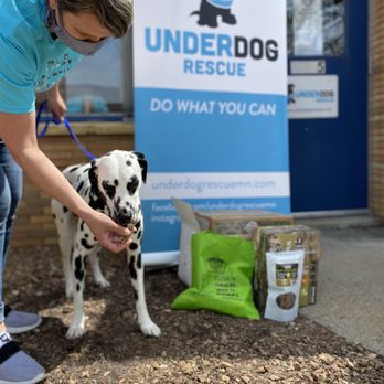barf world dog food