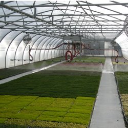 Butterfield Gardens Ground Cover