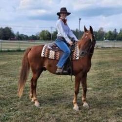 Windfall Equestrian Center