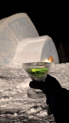 Aurora Ice Museum by null