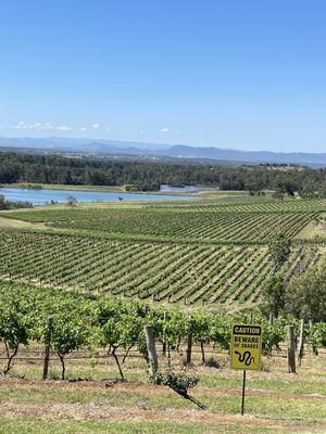 Audrey Wilkinson, Hunter Valley by null