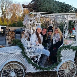 MaggDen's - Christmas trees at Maggdens!
