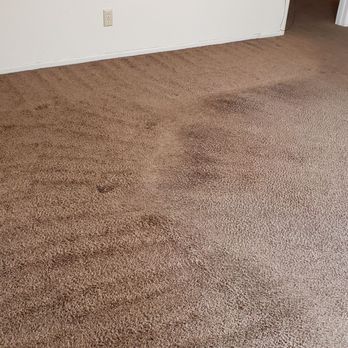 Carpet Monkey - After the cleaning - Carpet Cleaning Near Me
