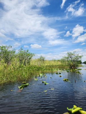 Coopertown The Original Airboat Tour of Everglades National Park by null
