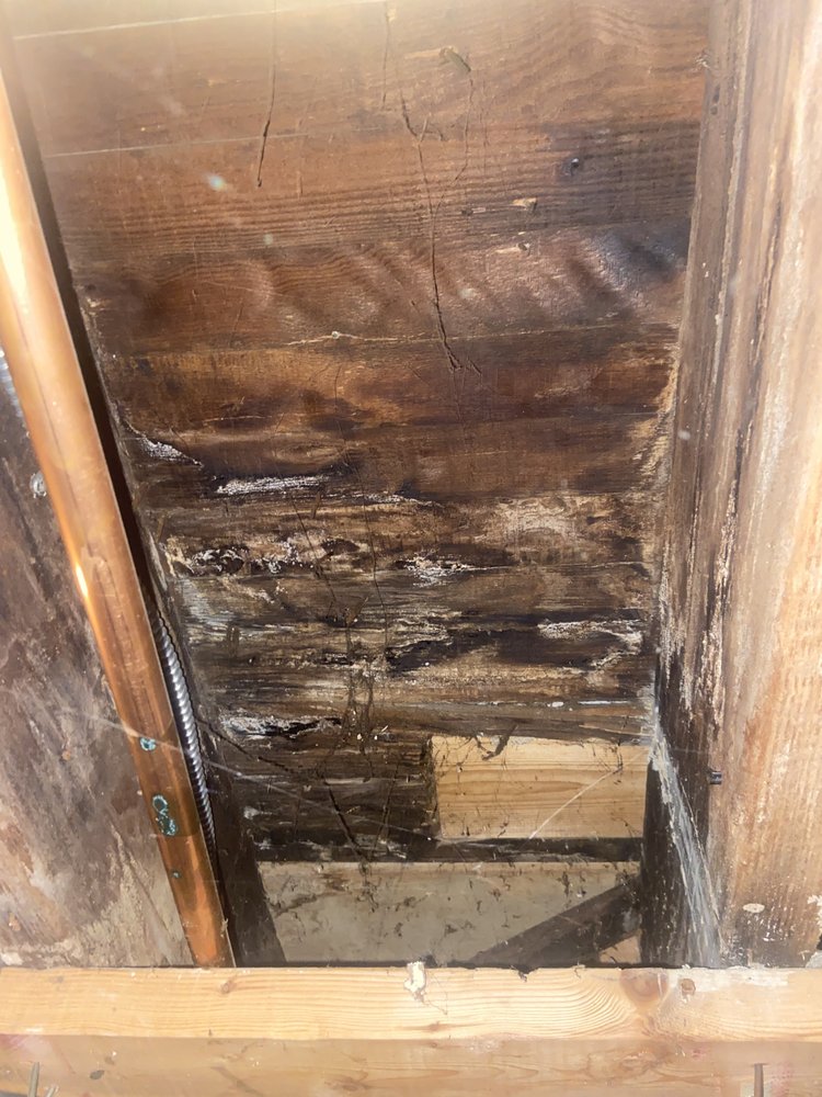 TRIPLE B MOLD REMEDIATION & SEVICES Updated June 2024 10 Photos