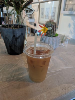 Cloche Coffee by null