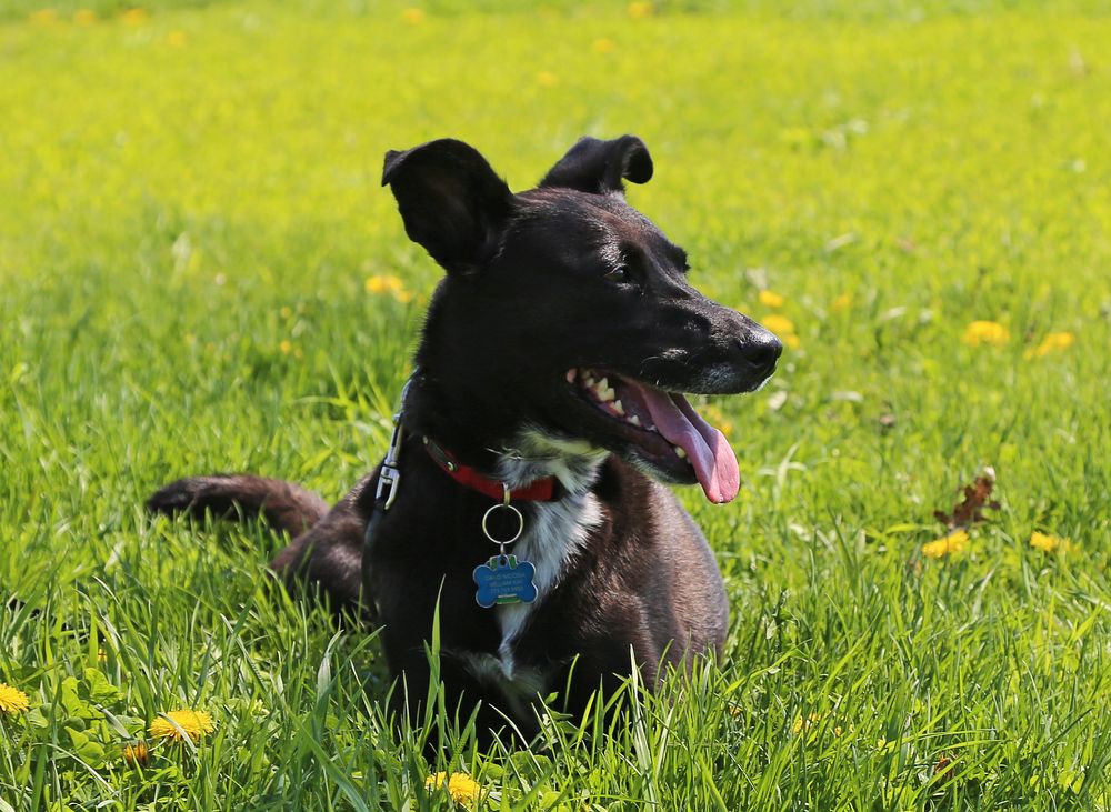 AEGIS PEST MANAGEMENT Updated October 2024 2141 West North Ave