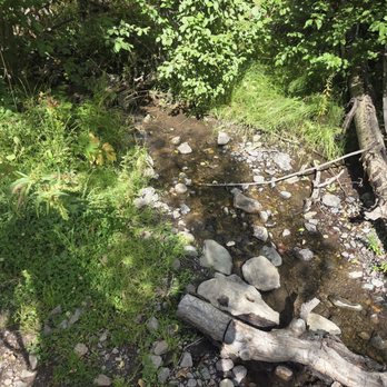 Action Adventures Trail Rides - 2nd creek - Horseback Riding Near Me - Ouray, Colorado