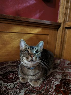 Ember Hostel by null