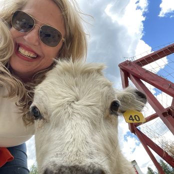 Goats of Glacier - Bound - Petting Zoos Near Me - Coram, Montana Goats of Glacier - Bound - Petting Zoos Near Me - Coram, Montana