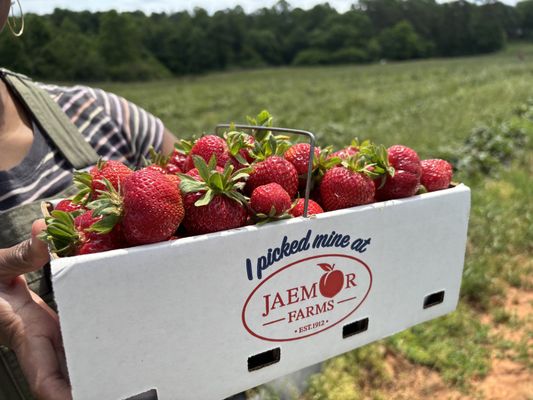 Jaemor Farms by null